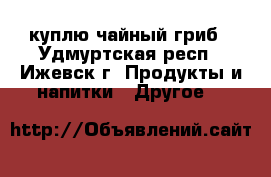 куплю чайный гриб - Удмуртская респ., Ижевск г. Продукты и напитки » Другое   